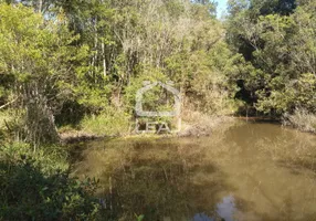 Foto 1 de Fazenda/Sítio com 2 Quartos à venda, 10m² em Juquiazinho, Juquitiba