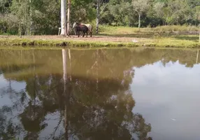 Foto 1 de Lote/Terreno à venda, 1900m² em Zona Rural, Senador Amaral