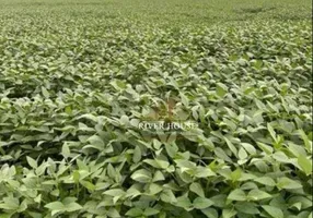 Foto 1 de Fazenda/Sítio à venda, 5500000m² em Zona Rural, Campo Novo do Parecis