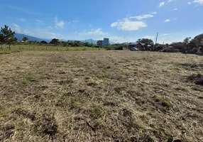 Foto 1 de Lote/Terreno à venda, 3200m² em Ibiraquera, Imbituba