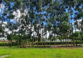 Foto 1 de Fazenda/Sítio com 1 Quarto à venda, 20000m² em Area Rural de Brazlandia, Brasília