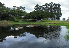 Foto 1 de Fazenda/Sítio à venda, 250m² em Passo das Pedras, Capão do Leão