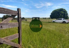 Foto 1 de Fazenda/Sítio à venda, 67600000m² em Zona Rural, Figueirao