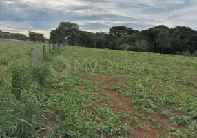 Foto 1 de Fazenda/Sítio à venda, 23m² em Vila William, Trindade