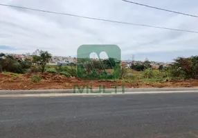 Foto 1 de Fazenda/Sítio com 1 Quarto à venda, 5025m² em Tubalina, Uberlândia