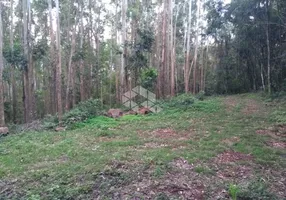 Foto 1 de Lote/Terreno à venda, 85000m² em Palmas, Arroio do Meio