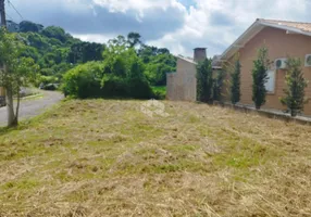 Foto 1 de Lote/Terreno à venda, 360m² em Santa Terezinha, Garibaldi