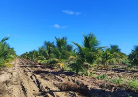 Foto 1 de Fazenda/Sítio com 2 Quartos à venda, 50m² em Zona Rural, Touros