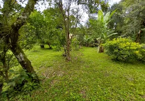 Foto 1 de Fazenda/Sítio com 3 Quartos à venda, 250m² em Roca Grande, Colombo