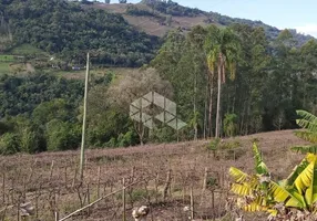Foto 1 de Fazenda/Sítio com 1 Quarto à venda, 150100m² em Area Rural de Bento Goncalves, Bento Gonçalves