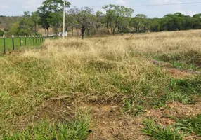 Foto 1 de Fazenda/Sítio com 3 Quartos à venda, 1000m² em Jardim dos Ipês, Anápolis