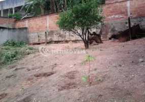 Foto 1 de Lote/Terreno à venda, 392m² em São Gabriel, Belo Horizonte