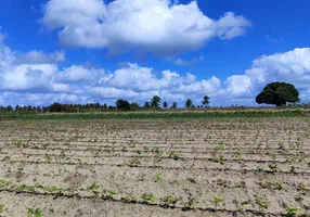 Foto 1 de Fazenda/Sítio com 3 Quartos à venda, 14400m² em Zona Rural, Monte Alegre