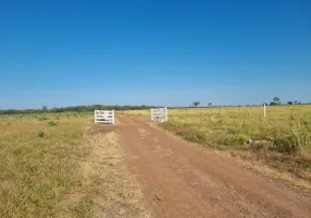 Foto 1 de Fazenda/Sítio com 3 Quartos à venda, 6691300m² em Setor Uniao I, Gurupi