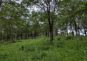 Foto 1 de Fazenda/Sítio à venda, 20000m² em Centro, Fortuna de Minas