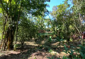 Foto 1 de Lote/Terreno à venda, 650m² em Sertao do Piavu, São Sebastião