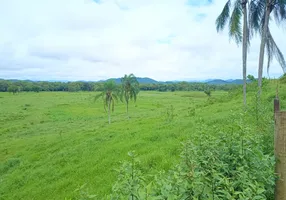 Foto 1 de Fazenda/Sítio com 1 Quarto à venda, 100m² em , Registro