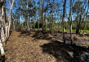 Foto 1 de Lote/Terreno à venda, 14000m² em Centro, São Lourenço da Serra