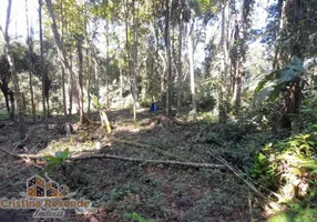 Foto 1 de Lote/Terreno à venda, 300m² em Ipiranguinha, Ubatuba