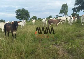 Foto 1 de Fazenda/Sítio à venda, 2032800m² em Zona Rural, Faina