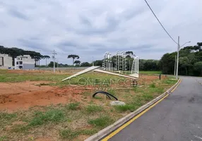 Foto 1 de Lote/Terreno à venda, 140m² em Costeira, São José dos Pinhais