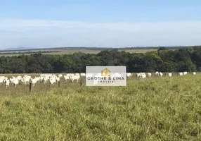 Foto 1 de Fazenda/Sítio com 8 Quartos à venda, 900m² em Setor Central, Araguaína