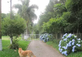 Foto 1 de Fazenda/Sítio com 1 Quarto à venda, 49900m² em Zona Rural, São José dos Pinhais