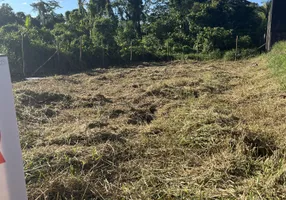 Foto 1 de Lote/Terreno à venda, 360m² em Balneário Rainha do Mar, Itapoá