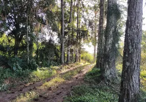 Foto 1 de Fazenda/Sítio com 2 Quartos à venda, 45000m² em , Garibaldi