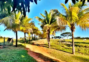 Foto 1 de Fazenda/Sítio à venda em Zona Rural, Itauçu