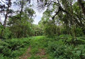 Foto 1 de Fazenda/Sítio à venda, 42951m² em Zona Rural, Agudos do Sul