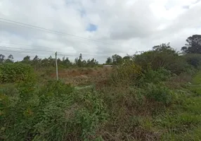 Foto 1 de Lote/Terreno à venda, 550m² em Capao do Leao, Capão do Leão