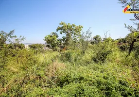 Foto 1 de Lote/Terreno à venda, 300m² em Padre Eustaquio, Divinópolis