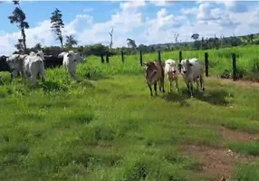 Foto 1 de Fazenda/Sítio à venda em Zona Rural, Confresa