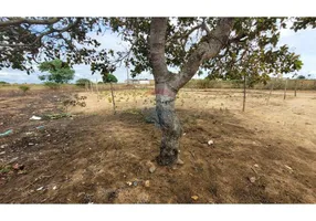 Foto 1 de Lote/Terreno à venda, 200m² em , Lajedo