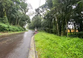 Foto 1 de Lote/Terreno à venda, 802m² em Lagos do Bosque, Gramado