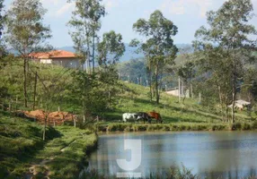 Foto 1 de Fazenda/Sítio com 4 Quartos à venda, 350m² em Centro, Amparo