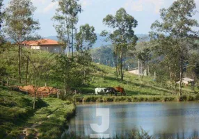 Foto 1 de Fazenda/Sítio com 4 Quartos à venda, 350m² em Vila Nova , Amparo