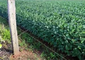 Foto 1 de Fazenda/Sítio à venda, 700m² em Zona Rural, Brasnorte