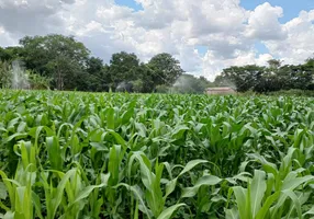 Foto 1 de Fazenda/Sítio com 3 Quartos à venda, 100000m² em Corrego Rico, Planaltina