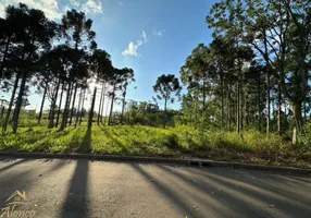 Foto 1 de Lote/Terreno à venda, 420m² em Vila Olinda, Nova Petrópolis