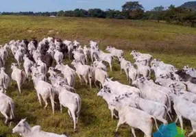 Foto 1 de Fazenda/Sítio à venda, 26600000m² em , Pontal do Araguaia