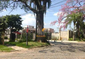 Foto 1 de Lote/Terreno à venda, 582m² em Jardim Passárgada, Cotia