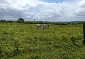 Foto 1 de Fazenda/Sítio com 3 Quartos à venda, 320000m² em Centro, Lagoa de Pedras