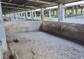 Foto 1 de Fazenda/Sítio com 3 Quartos à venda, 5000m² em Zona Rural, Macaíba