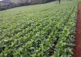 Foto 1 de Fazenda/Sítio à venda em Centro, Araguari