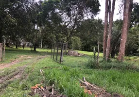 Foto 1 de Lote/Terreno à venda, 290000m² em Vila Lindoia, Itacoatiara