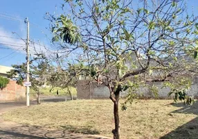 Foto 1 de Lote/Terreno à venda, 260m² em Parque Residencial J Macedo, São José do Rio Preto