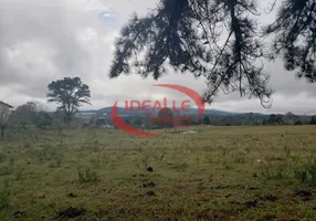 Foto 1 de Lote/Terreno à venda, 10000m² em Centro, Quatro Barras