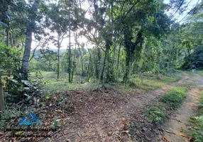 Foto 1 de Lote/Terreno à venda, 100m² em Sertão do Ingá, Ubatuba
